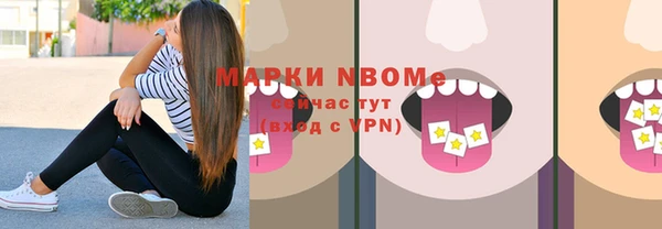 винт Няндома