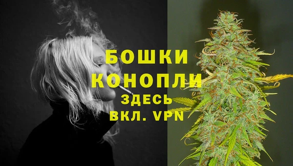 винт Няндома