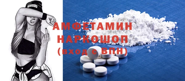 винт Няндома