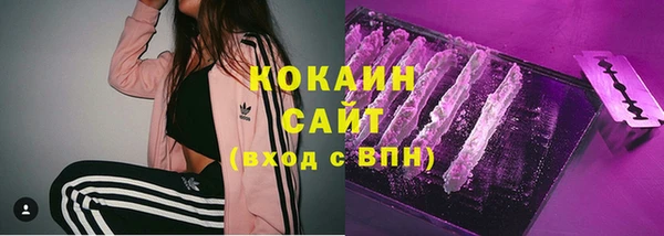 винт Няндома