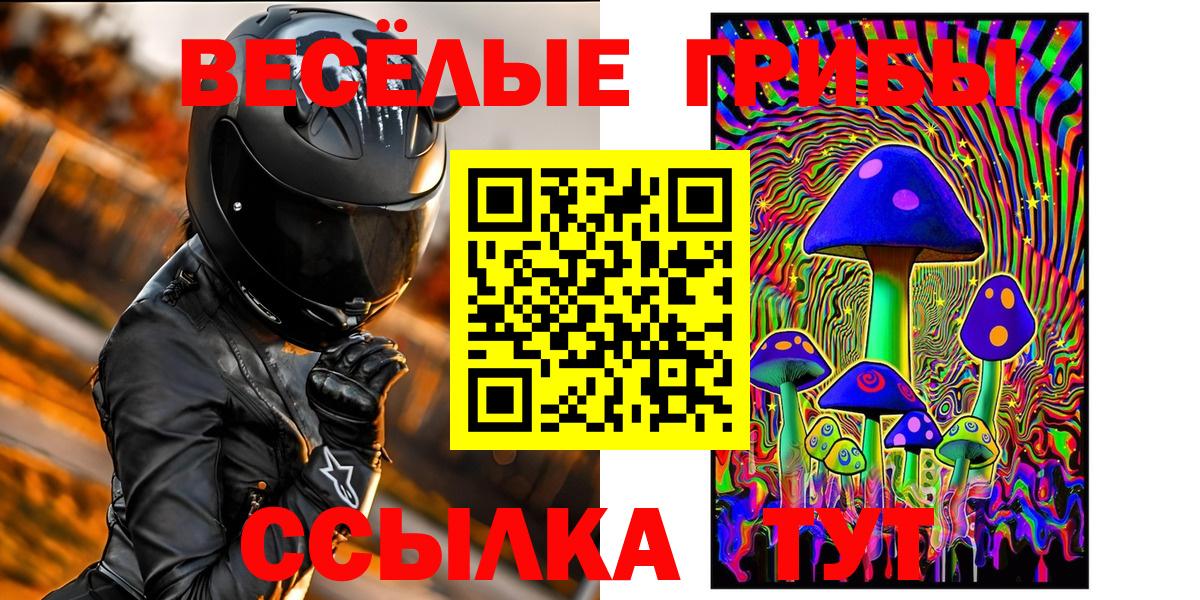 Галлюциногенные грибы Psilocybe Светлоград