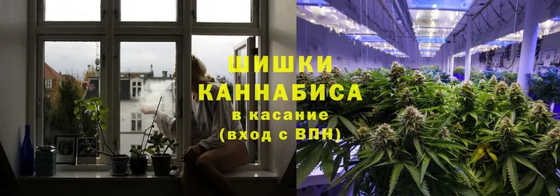 Каннабис White Widow  mega вход  Светлоград  купить закладку 